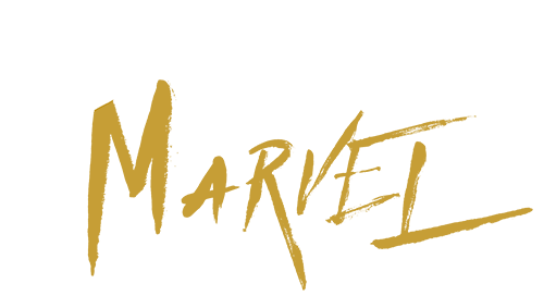 Salt and Light - Marvel